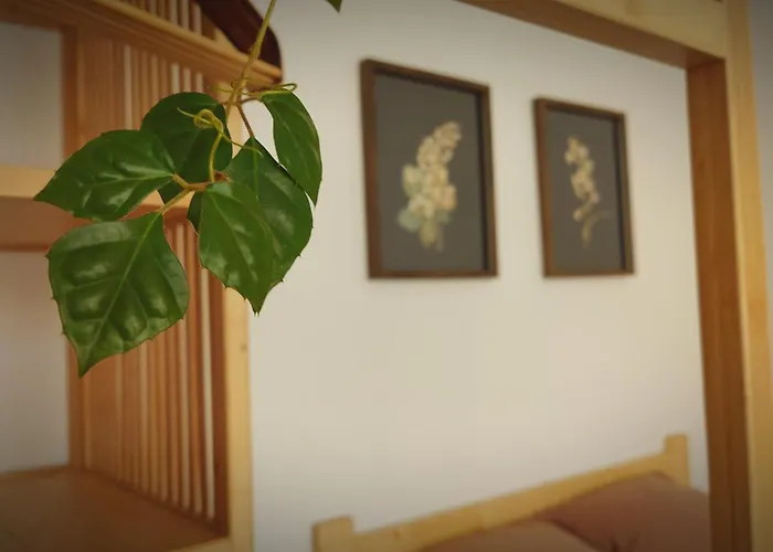 Kwadrat I Kropka Apartament Zamosc