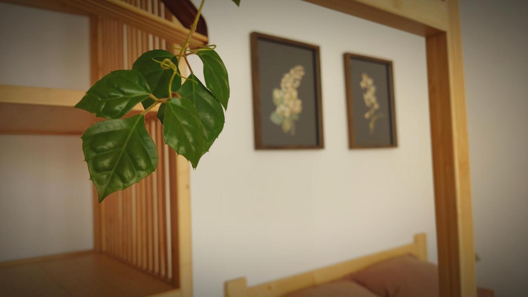 Apartment Kwadrat I Kropka Zamosc (Lublin)
